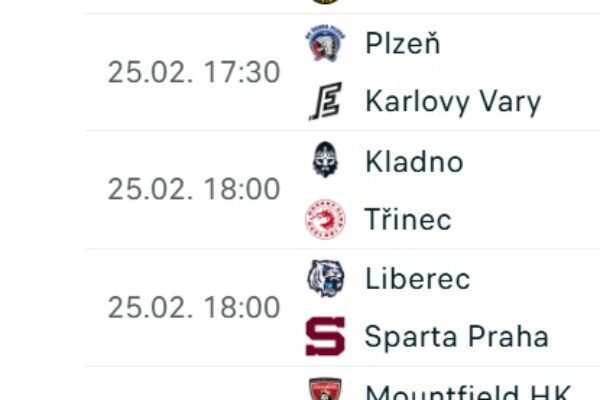 program hokej